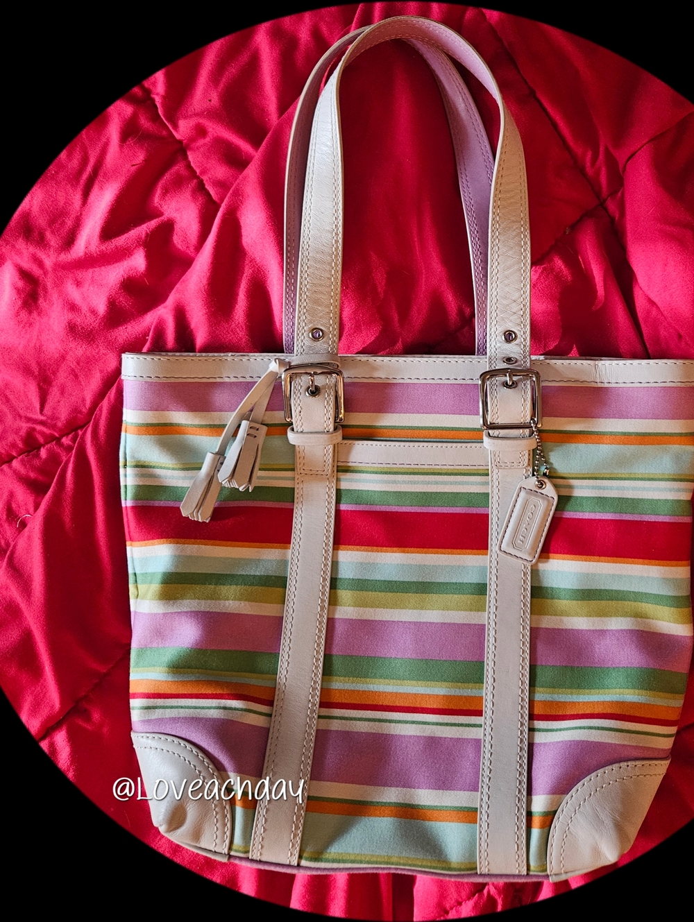 COACH✨️Hampton Tote-Y2K